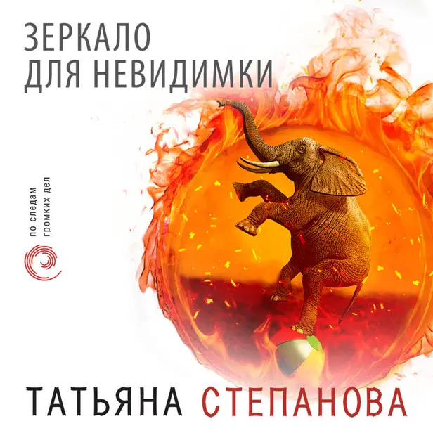 Зеркало для невидимки. Обложка