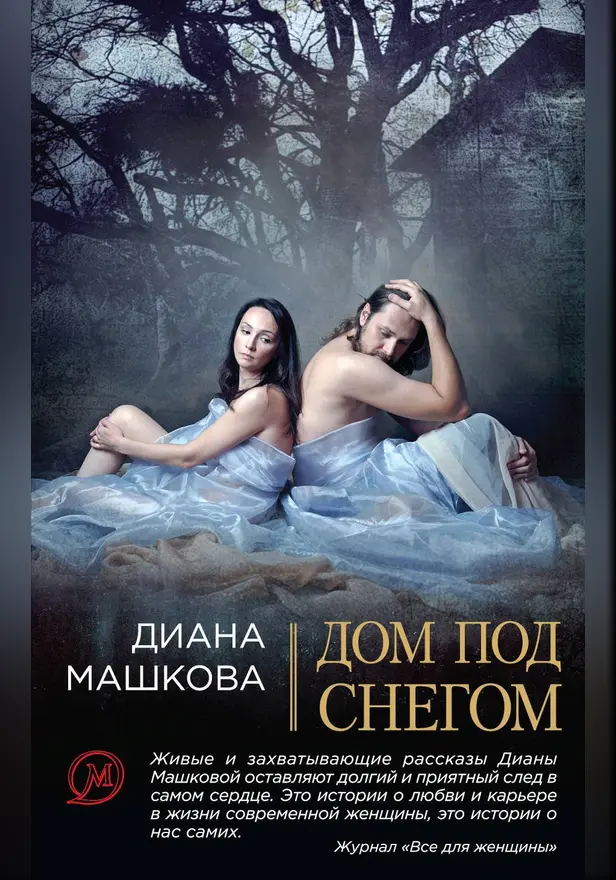 Дом под снегом (сборник). Обложка