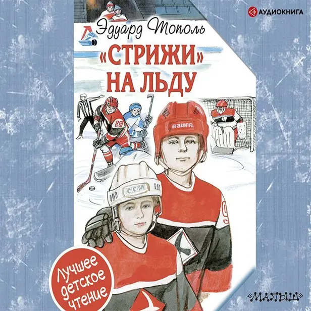 "Стрижи" на льду. Обложка