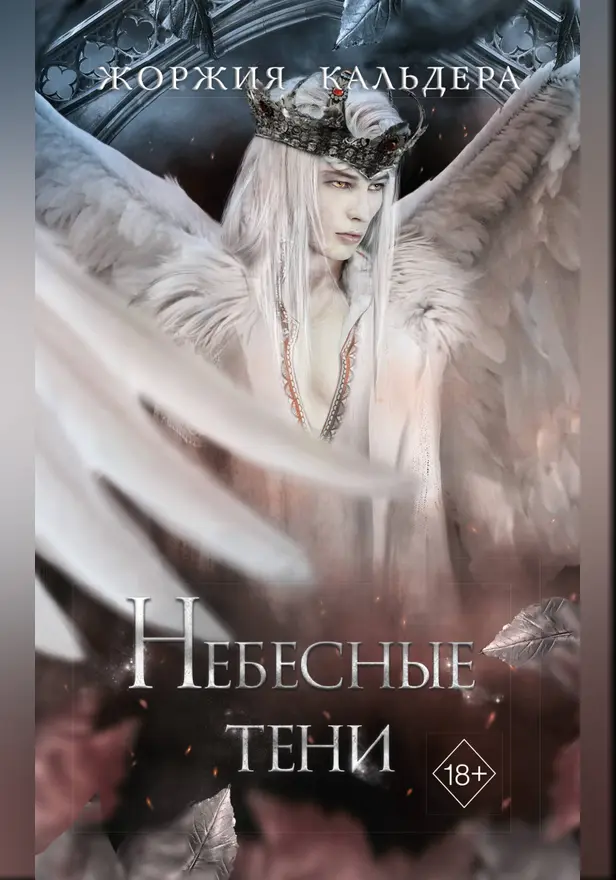 Небесные тени. Обложка