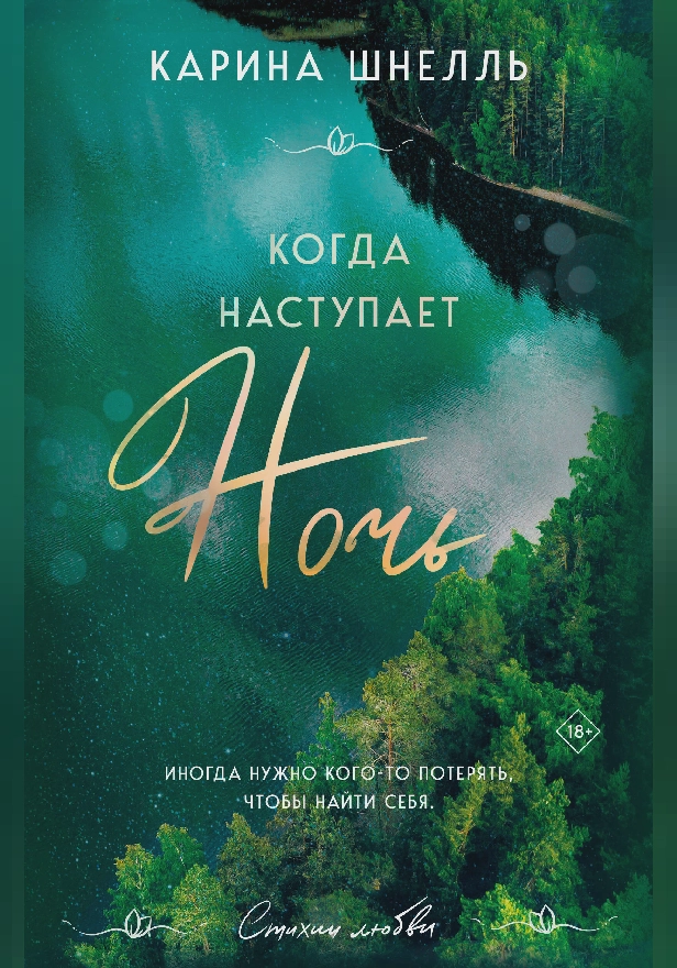 Когда наступает ночь. Обложка