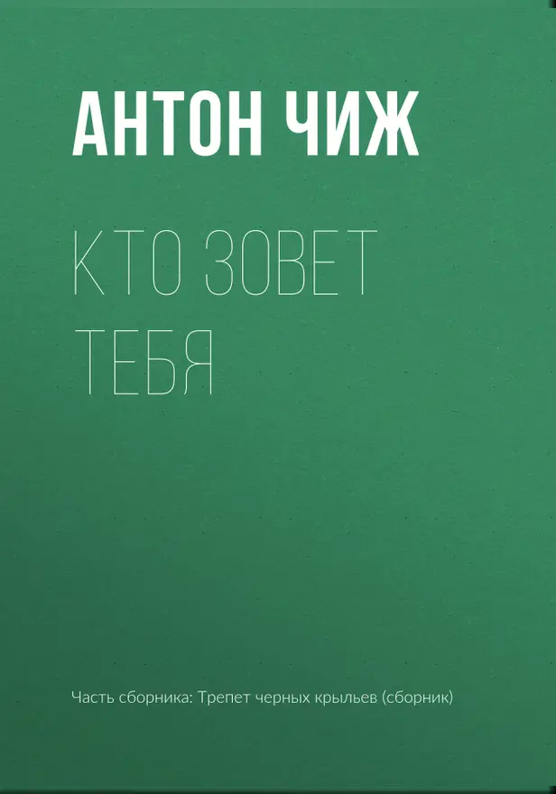 Кто зовет тебя. Обложка