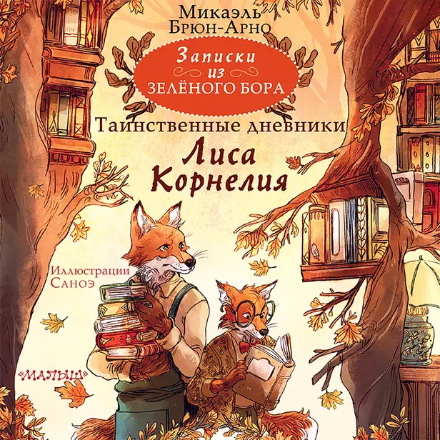 Записки из Зелёного Бора. Таинственные дневники Лиса Корнелия. Обложка