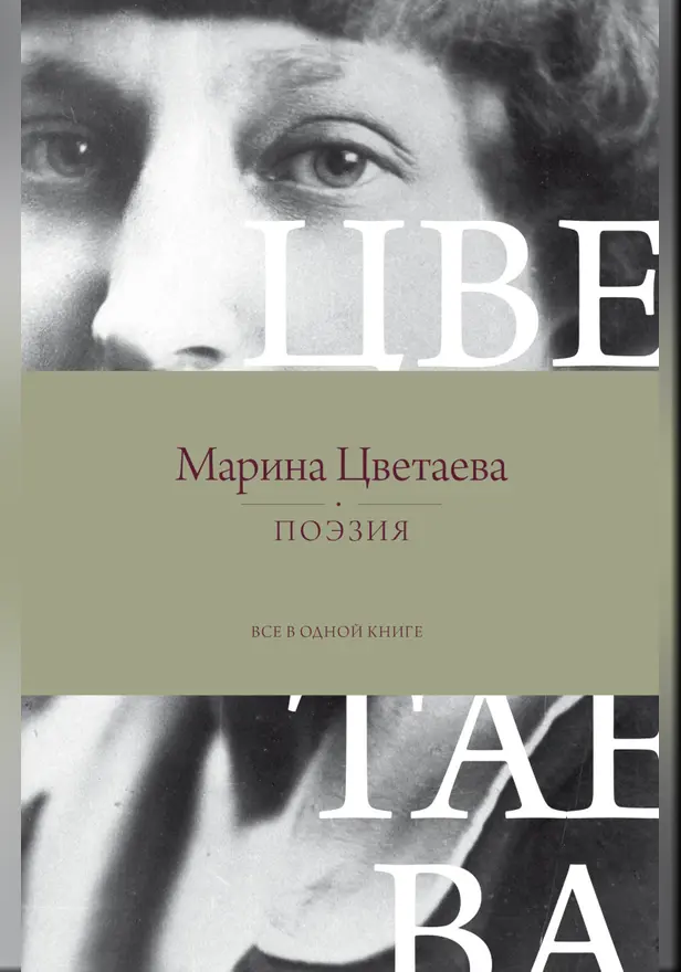 Поэзия. Все в одной книге. Обложка