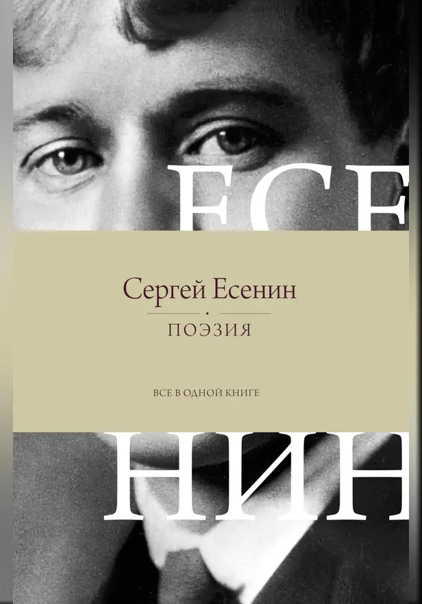 Поэзия. Все в одной книге. Обложка