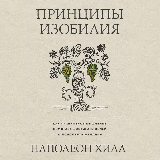 Принципы изобилия. Как правильное мышление помогает достигать целей и исполнять желания. Обложка