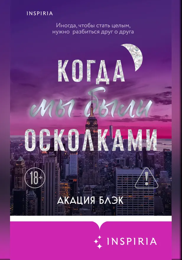Когда мы были осколками. Обложка