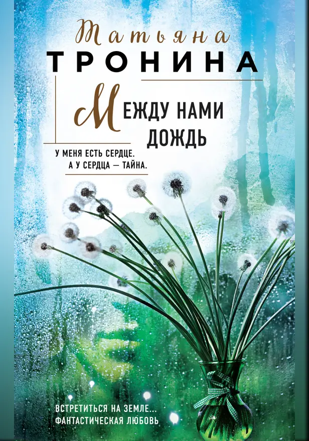 Между нами дождь. Обложка