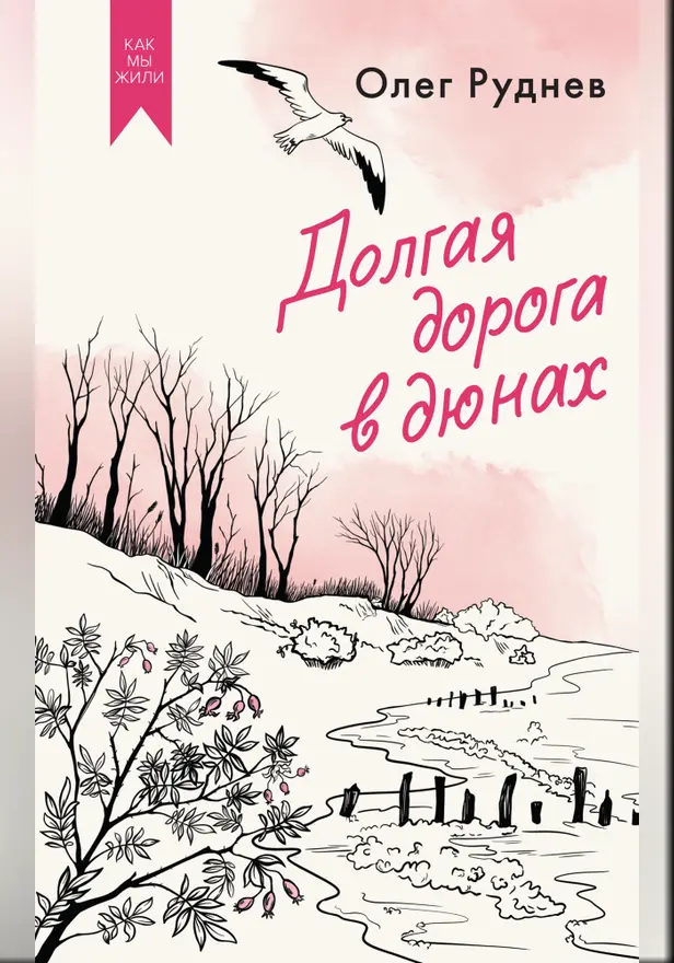 Долгая дорога в дюнах. Обложка