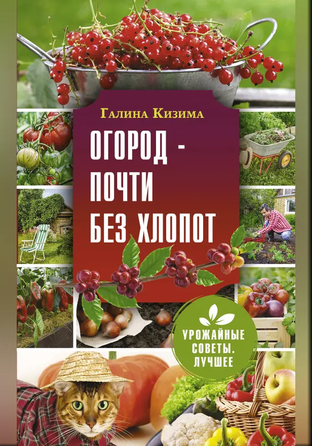Огород - почти без хлопот. Обложка