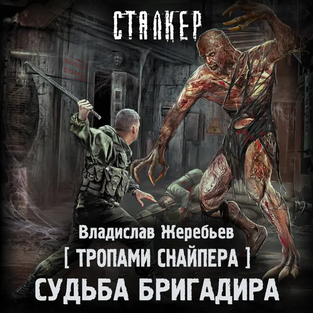 Тропами Снайпера. Судьба Бригадира. Обложка
