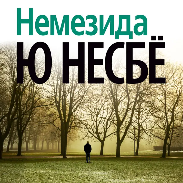 Немезида. Обложка