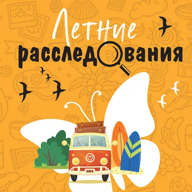 Летние расследования. Обложка