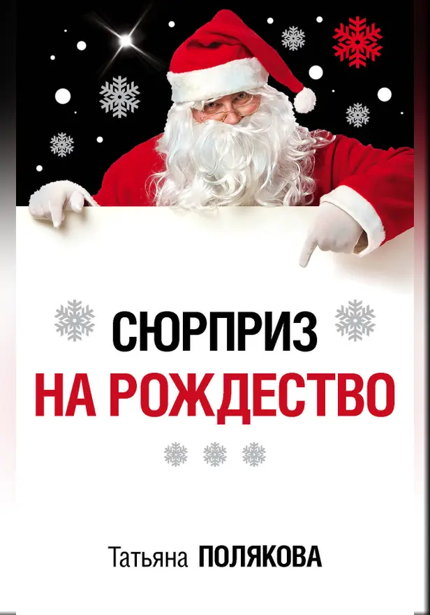 Сюрприз на Рождество. Обложка