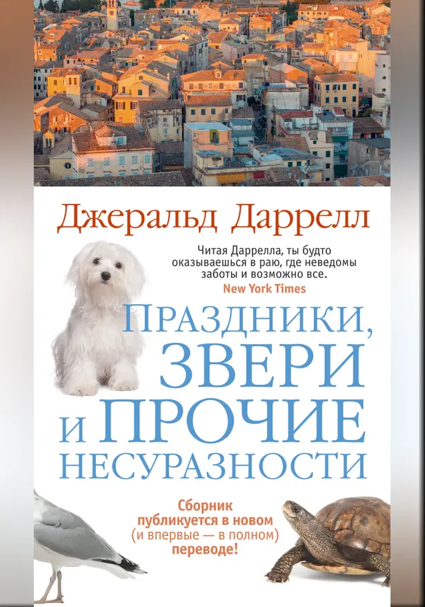 Праздники, звери и прочие несуразности. Обложка