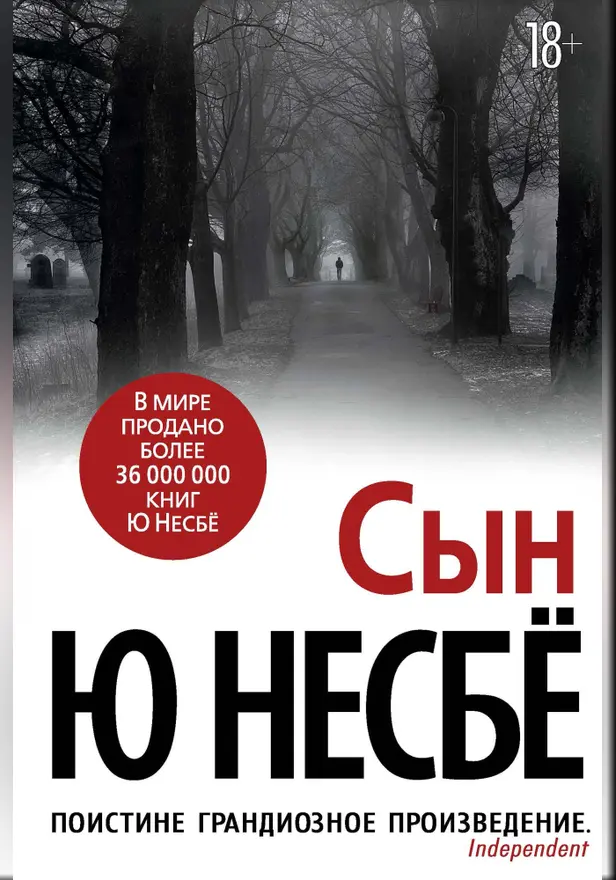 Сын. Обложка