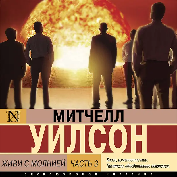 Живи с молнией. Книга 3. Обложка