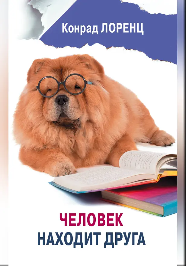 Человек находит друга. Обложка