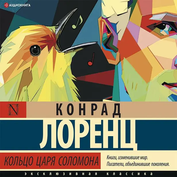 Кольцо царя Соломона. Обложка