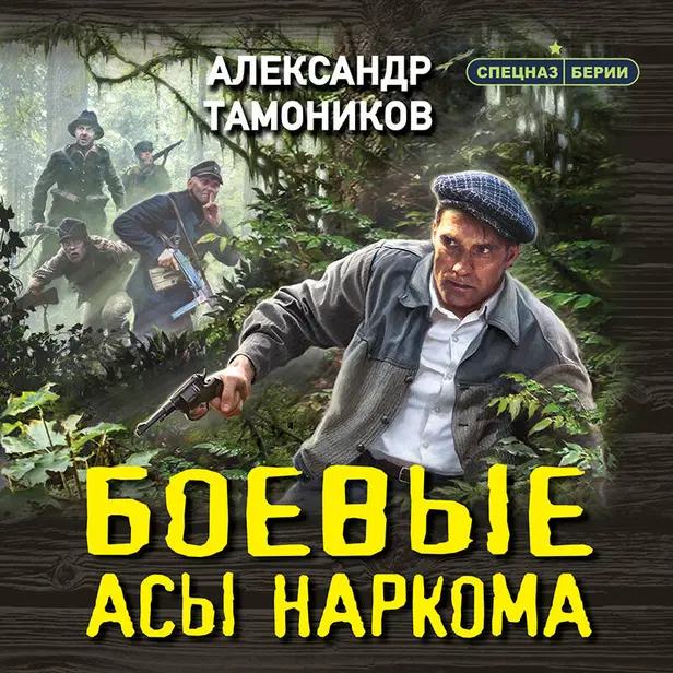 Боевые асы наркома. Обложка