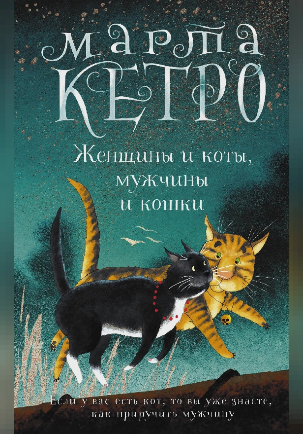 Женщины и коты, мужчины и кошки. Обложка