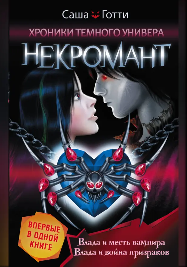 Хроники Темного Универа. Некромант. Обложка