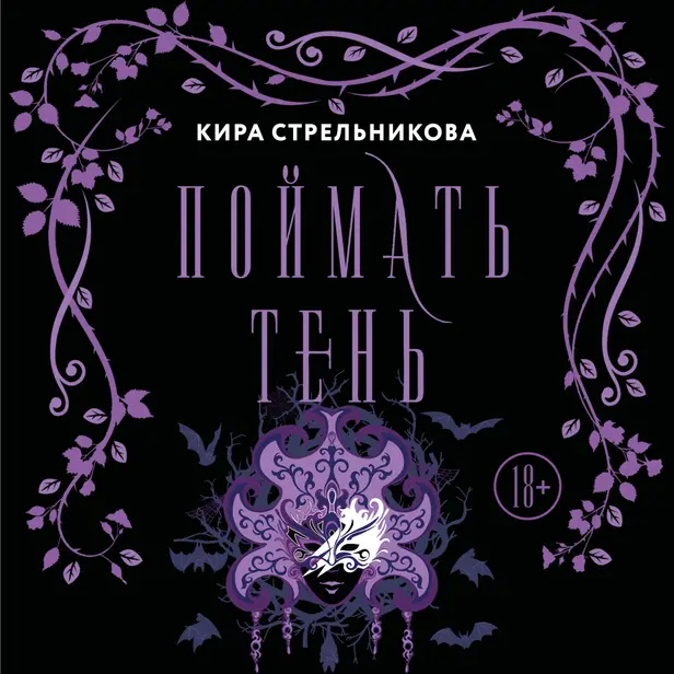 Поймать тень. Обложка