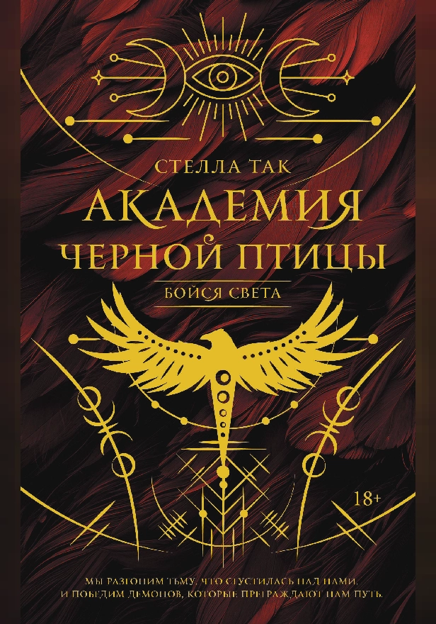 Академия Черной птицы. Бойся света. Обложка
