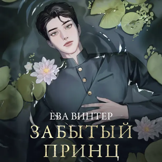 Забытый принц. Обложка