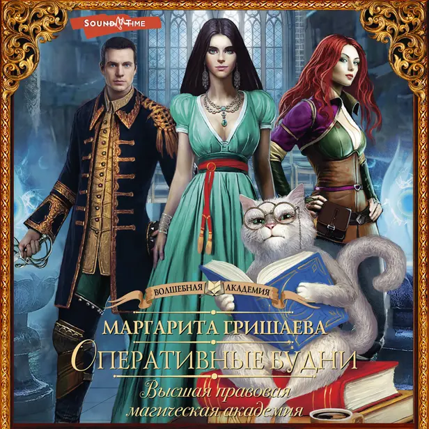 Высшая правовая магическая академия. Оперативные будни. Обложка