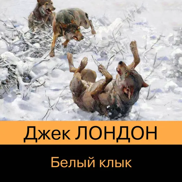 Белый клык. Обложка