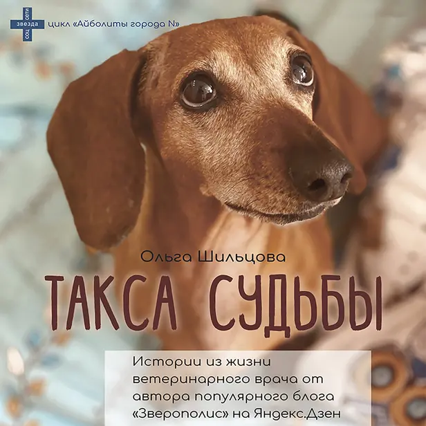 Такса судьбы. Обложка
