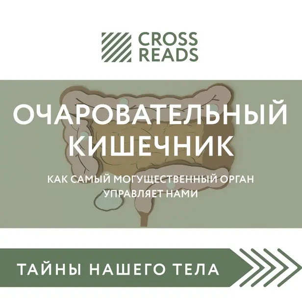 Саммари книги «Очаровательный кишечник. Как самый могущественный орган управляет нами». Обложка