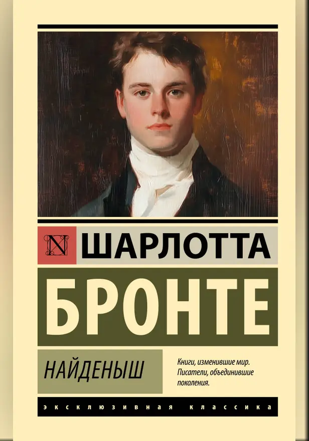 Найденыш. Обложка
