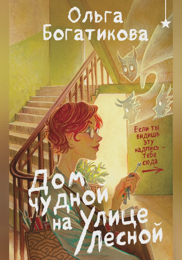Дом чудной на улице Лесной. Обложка