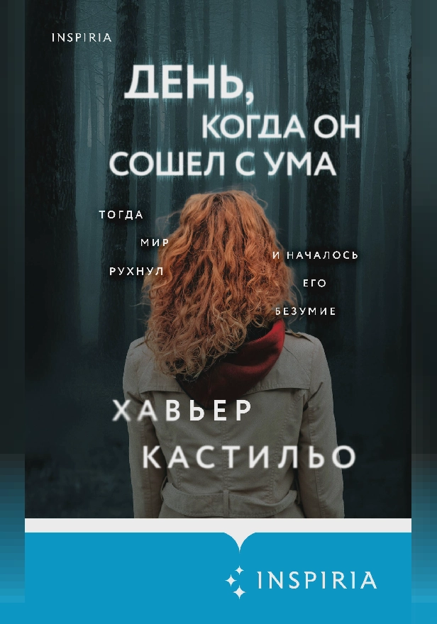 День, когда он сошел с ума. Обложка