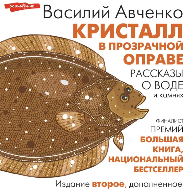 Кристалл в прозрачной оправе. Обложка
