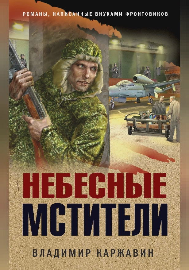 Небесные мстители. Обложка