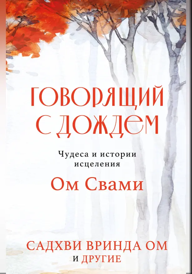 Говорящий с дождем. Чудеса и истории исцеления Ом Свами. Обложка