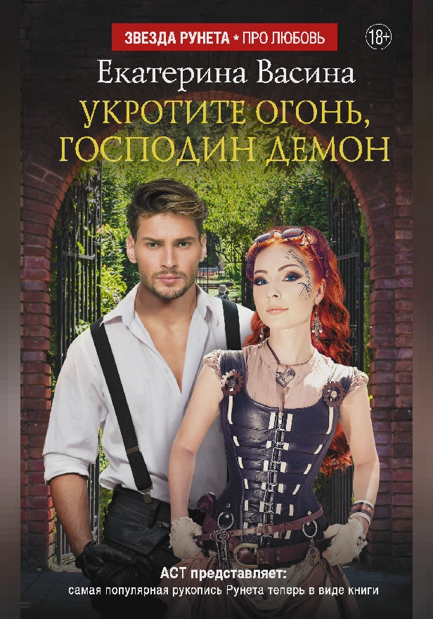 Укротите огонь, господин Демон. Обложка