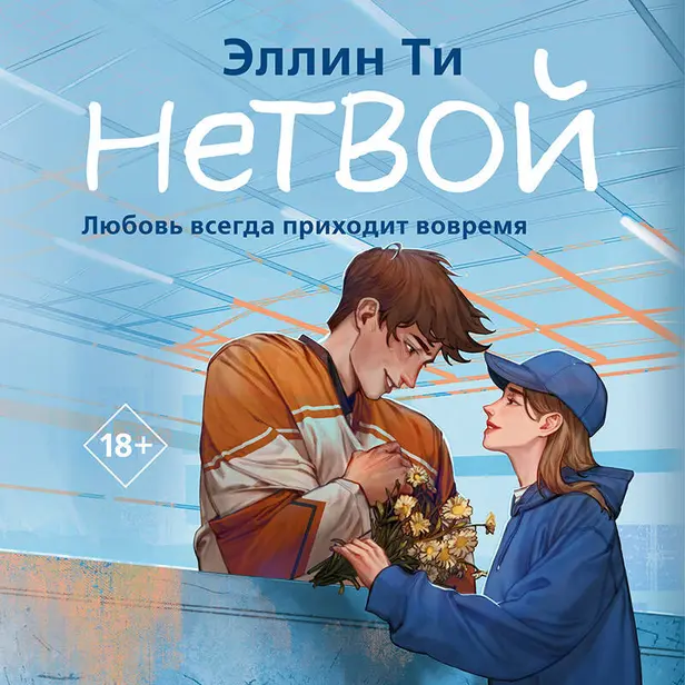 Нетвой. Обложка
