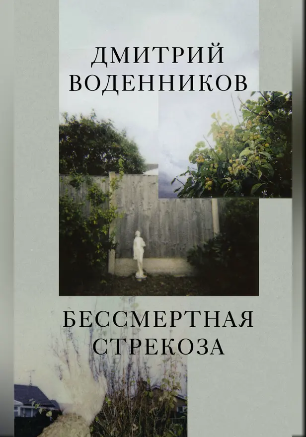 Бессмертная стрекоза. Обложка