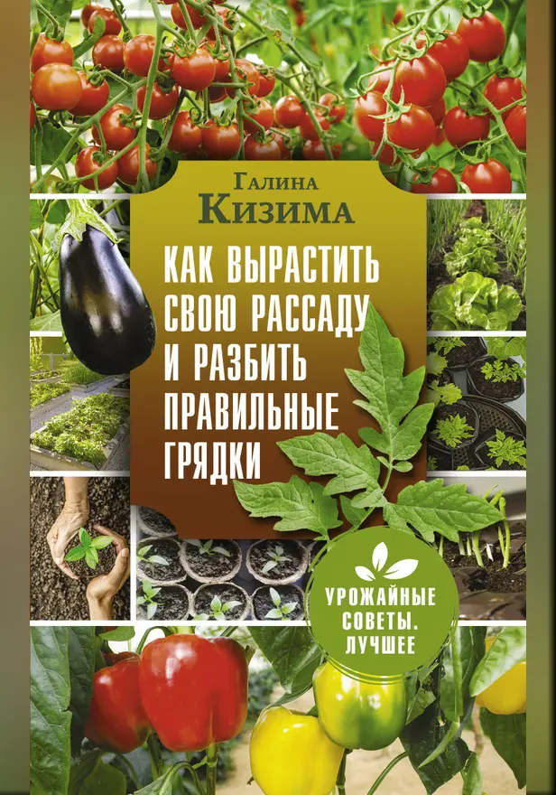 Как вырастить свою рассаду и разбить правильные грядки. Обложка