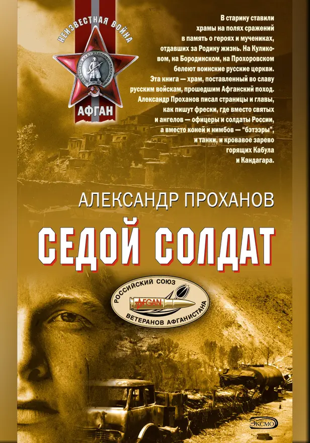 Седой солдат. Обложка