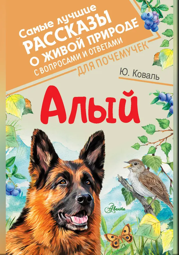 Елец. Обложка