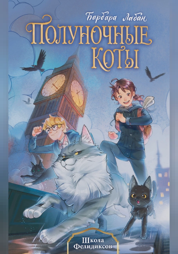 Школа Фелидиксов. Обложка