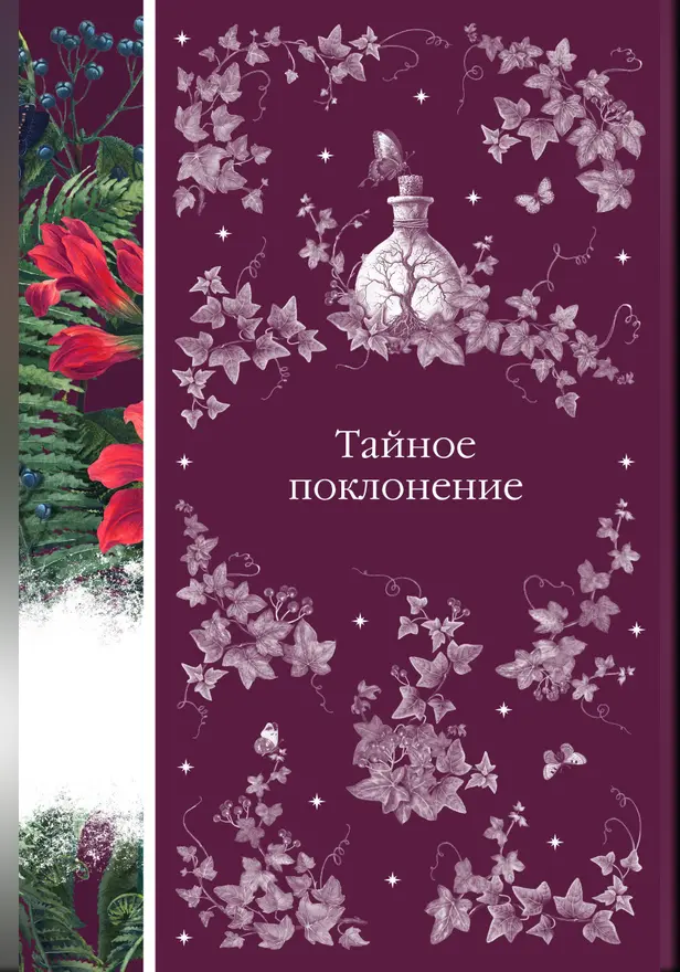 Тайное поклонение. Обложка