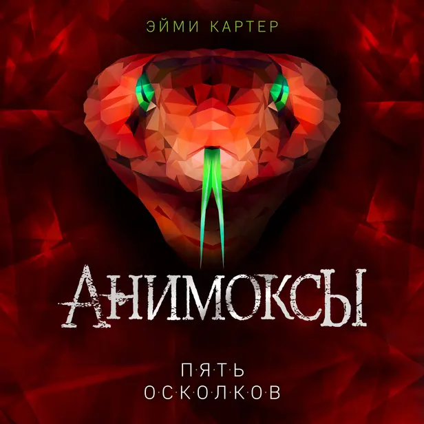 Пять Осколков. Обложка
