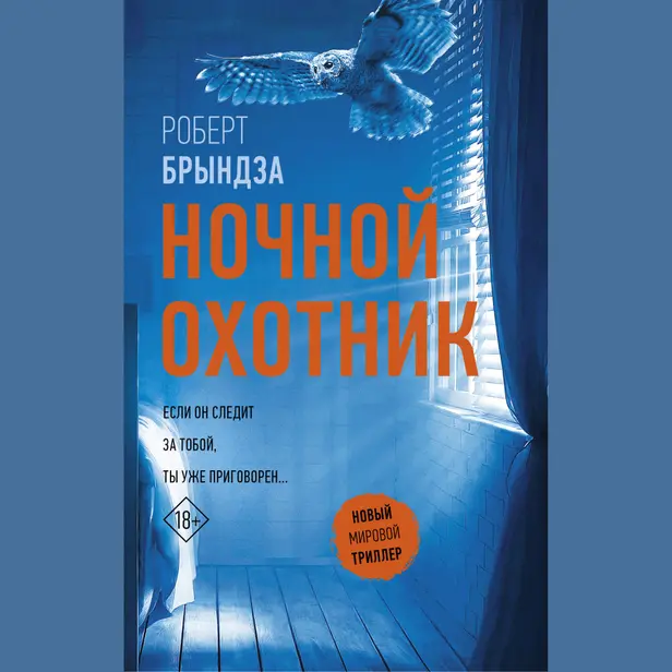 Ночной Охотник. Обложка