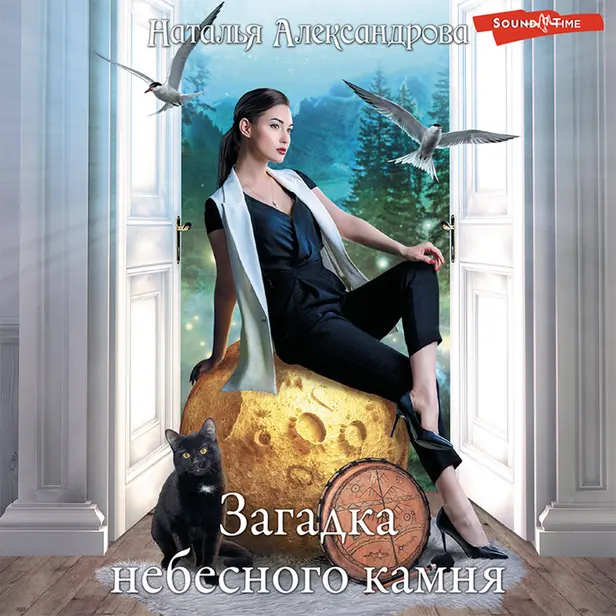 Загадка небесного камня. Обложка